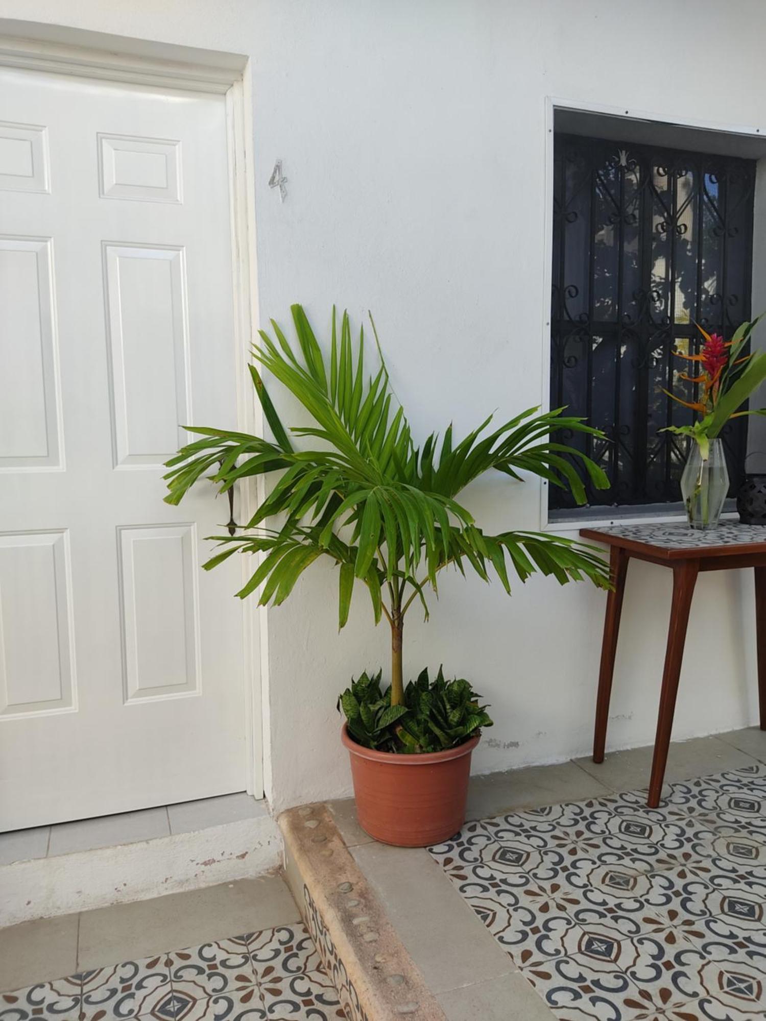 Casa Mercedes Valladolid  Ruang foto